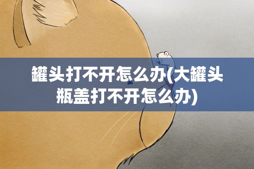 罐头打不开怎么办(大罐头瓶盖打不开怎么办)