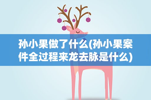 孙小果做了什么(孙小果案件全过程来龙去脉是什么)