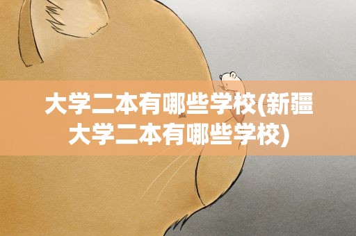 大学二本有哪些学校(新疆大学二本有哪些学校)