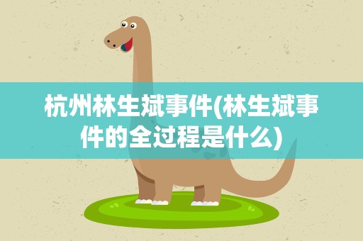 杭州林生斌事件(林生斌事件的全过程是什么)
