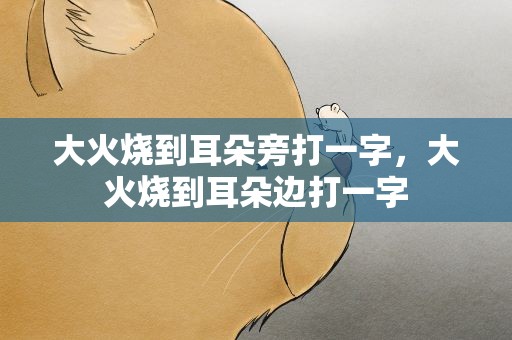 大火烧到耳朵旁打一字，大火烧到耳朵边打一字
