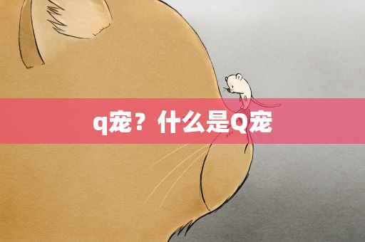 q宠？什么是Q宠