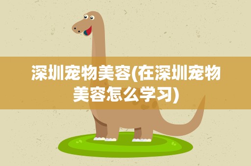 深圳宠物美容(在深圳宠物美容怎么学习)