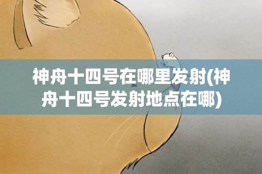 神舟十四号在哪里发射(神舟十四号发射地点在哪)