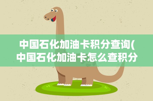 中国石化加油卡积分查询(中国石化加油卡怎么查积分)