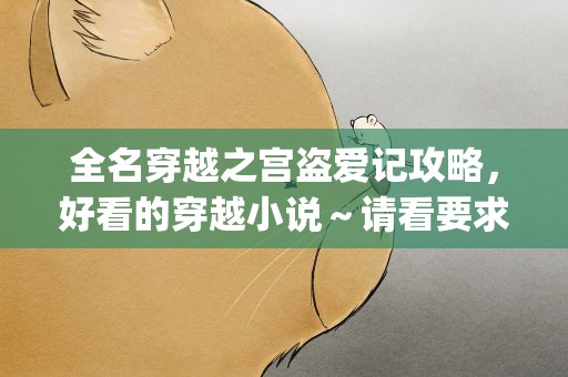全名穿越之宫盗爱记攻略，好看的穿越小说～请看要求 (高分)