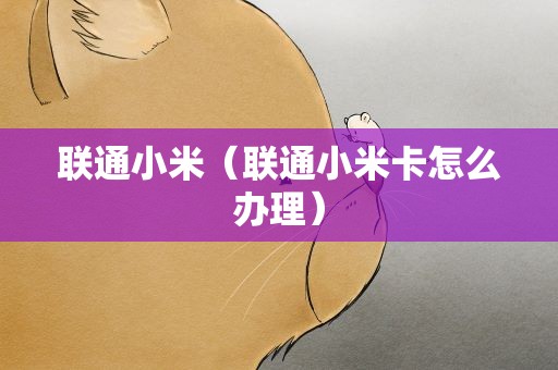 联通小米（联通小米卡怎么办理）