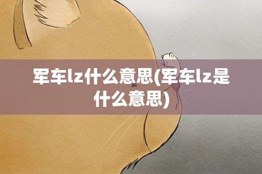 军车lz什么意思(军车lz是什么意思)