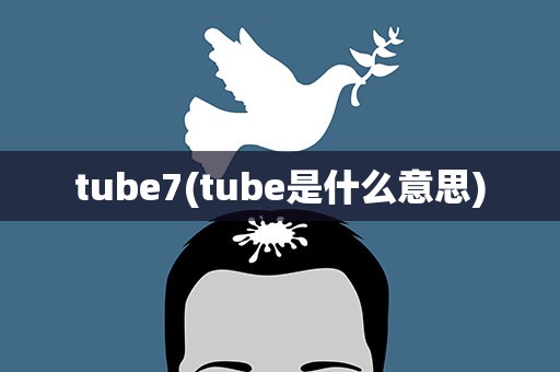 tube7(tube是什么意思)
