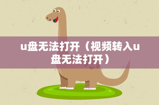 u盘无法打开（视频转入u盘无法打开）