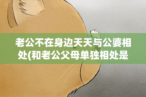 老公不在身边天天与公婆相处(和老公父母单独相处是一种什么体验)