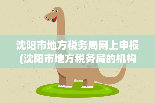 沈阳市地方税务局网上申报(沈阳市地方税务局的机构职能)