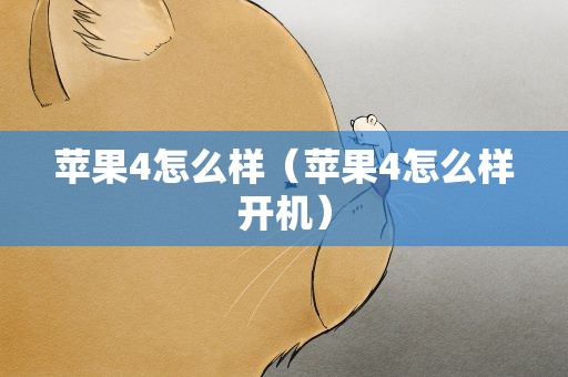 苹果4怎么样（苹果4怎么样开机）