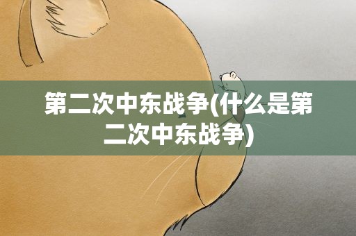 第二次中东战争(什么是第二次中东战争)