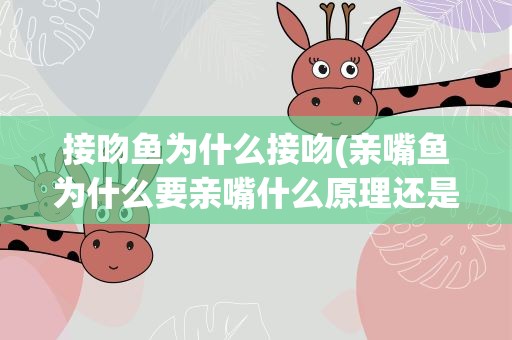 接吻鱼为什么接吻(亲嘴鱼为什么要亲嘴什么原理还是生理构造导致的)