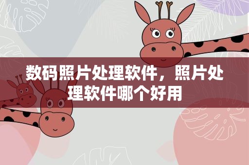 数码照片处理软件，照片处理软件哪个好用