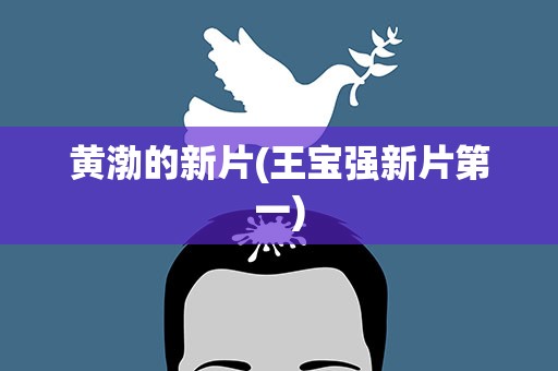 黄渤的新片(王宝强新片第一)