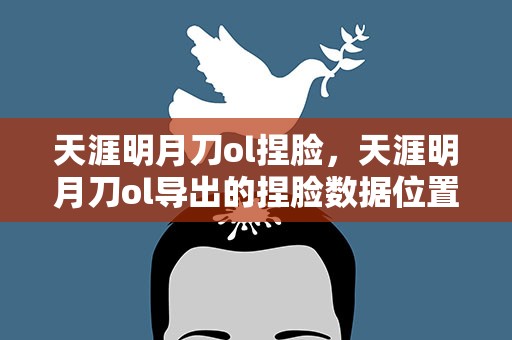 天涯明月刀ol捏脸，天涯明月刀ol导出的捏脸数据位置在哪