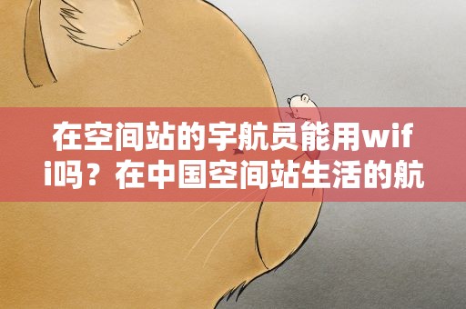 在空间站的宇航员能用wifi吗？在中国空间站生活的航天员,他们能用Wi-Fi吗