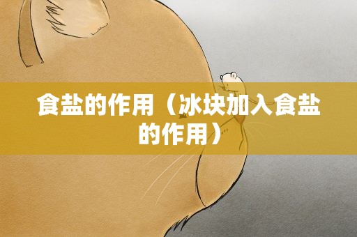 食盐的作用（冰块加入食盐的作用）