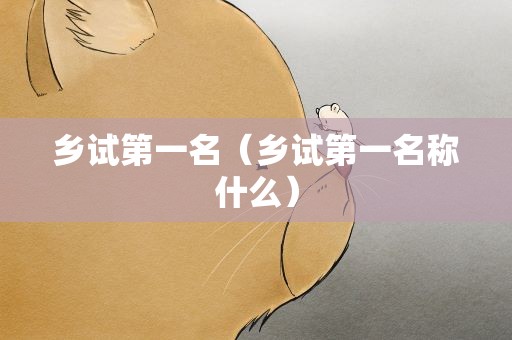 乡试第一名（乡试第一名称什么）