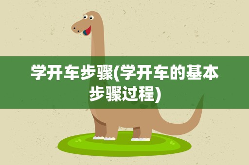 学开车步骤(学开车的基本步骤过程)