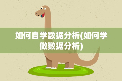 如何自学数据分析(如何学做数据分析)