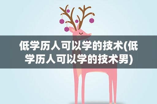 低学历人可以学的技术(低学历人可以学的技术男)