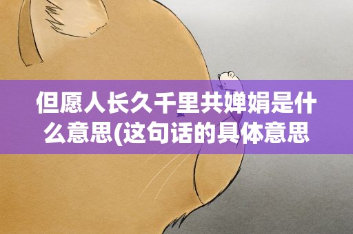 但愿人长久千里共婵娟是什么意思(这句话的具体意思是什么)