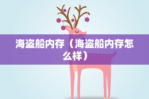 海盗船内存（海盗船内存怎么样）