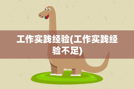 工作实践经验(工作实践经验不足)