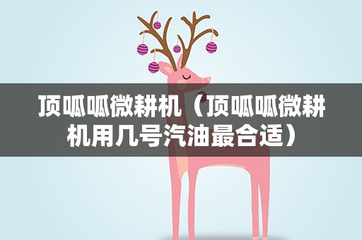 顶呱呱微耕机（顶呱呱微耕机用几号汽油最合适）