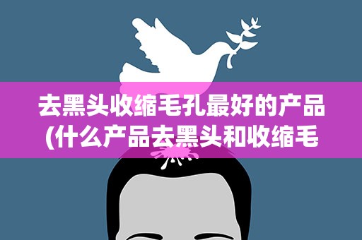 去黑头收缩毛孔最好的产品(什么产品去黑头和收缩毛孔最好)