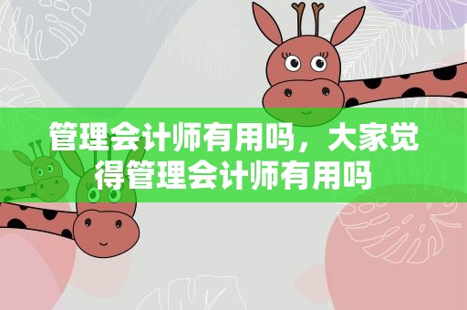 管理会计师有用吗，大家觉得管理会计师有用吗