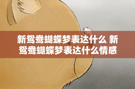 新鸳鸯蝴蝶梦表达什么 新鸳鸯蝴蝶梦表达什么情感