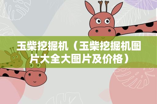 玉柴挖掘机（玉柴挖掘机图片大全大图片及价格）