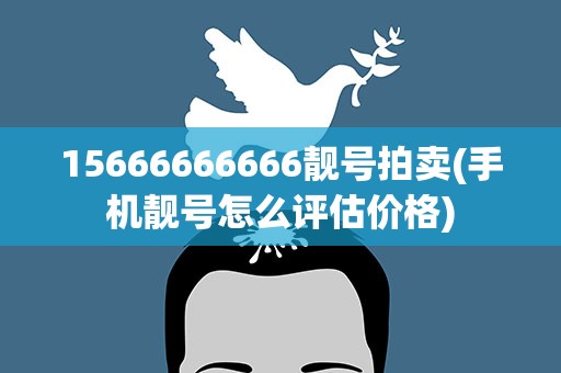 15666666666靓号拍卖(手机靓号怎么评估价格)