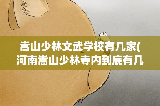 嵩山少林文武学校有几家(河南嵩山少林寺内到底有几个文武学校)