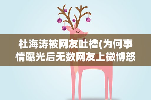 杜海涛被网友吐槽(为何事情曝光后无数网友上微博怒怼他)