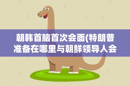 朝韩首脑首次会面(特朗普准备在哪里与朝鲜领导人会面)