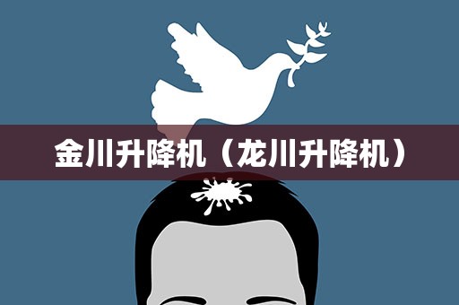 金川升降机（龙川升降机）