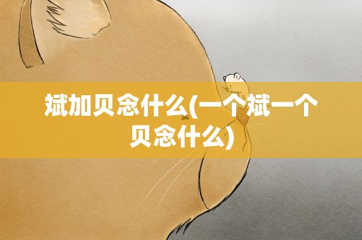 斌加贝念什么(一个斌一个贝念什么)