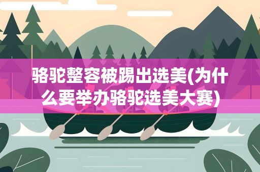 骆驼整容被踢出选美(为什么要举办骆驼选美大赛)
