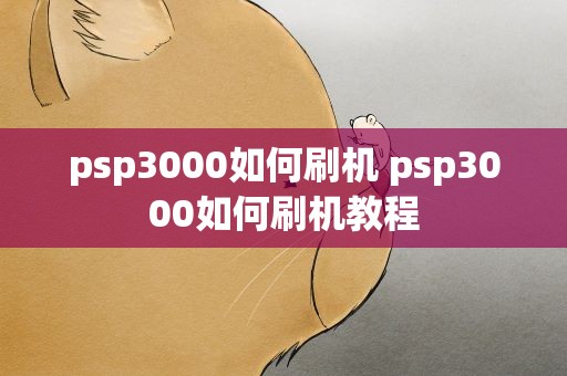 psp3000如何刷机 psp3000如何刷机教程