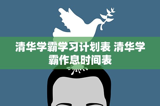 清华学霸学习计划表 清华学霸作息时间表