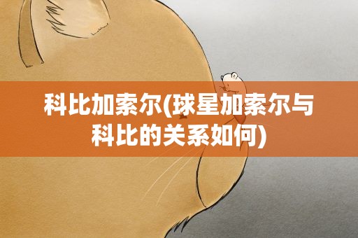科比加索尔(球星加索尔与科比的关系如何)