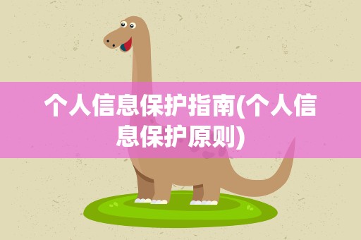 个人信息保护指南(个人信息保护原则)