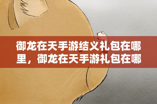 御龙在天手游结义礼包在哪里，御龙在天手游礼包在哪领