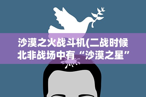 沙漠之火战斗机(二战时候北非战场中有“沙漠之星”之称的德军特级飞行员)