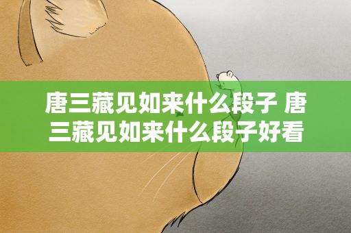 唐三藏见如来什么段子 唐三藏见如来什么段子好看